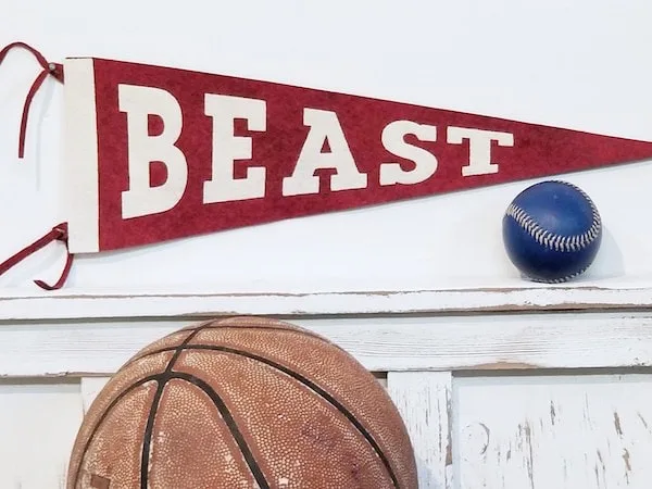Beast Felt Sports Pennant.  Custom and Personalized pennants for the baby nursery, kids rooms, teen spaces and sports decor interiors.Picture