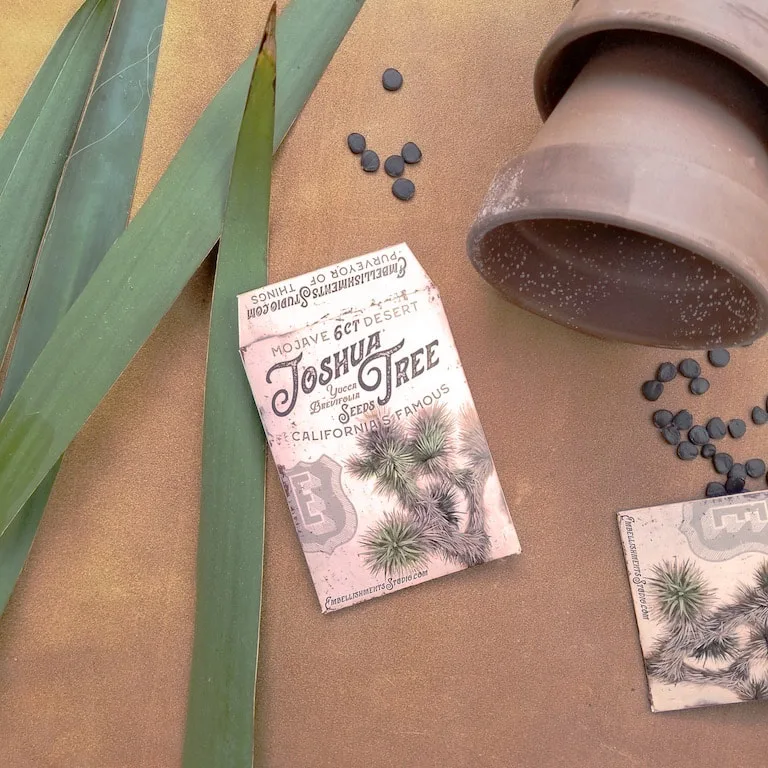 Joshua Tree Seeds in a packet featuring JTNP art by Aaron Christensen